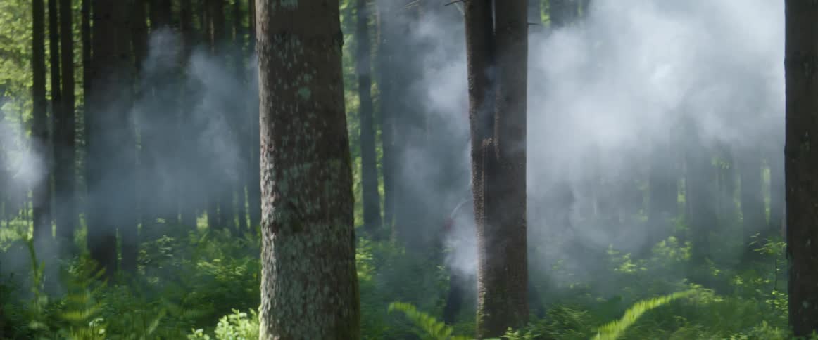 Somebody is walking though a foggy forest as the sun shines through the trees