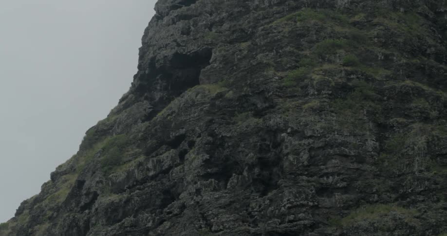A bird flies near a dark, rocky cliff