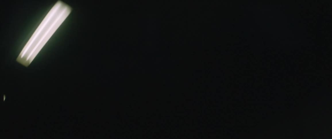 Fluorescent lights flow in line across darkness of tunnel ceiling