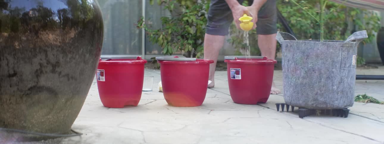 A person squeezing a liquid into a bucket with plants and a wall in the background