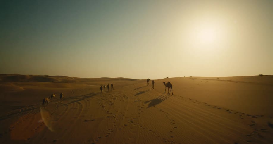 Camels and a group of people travel in the desert