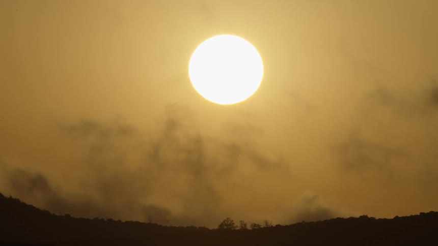 The sun shines above the clouds and the plants on the horizon
