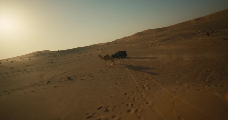 A passes a camel while traveling off road through the desert during the day