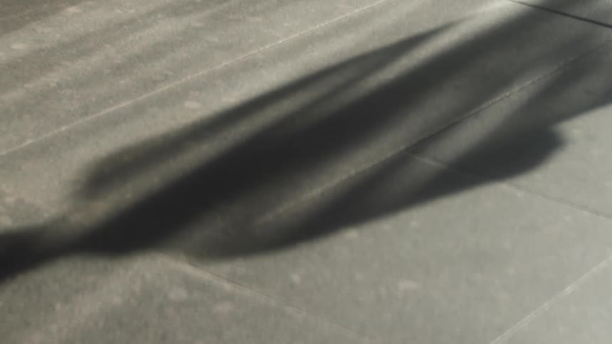 People are casting long shadows as they walk along a sidewalk