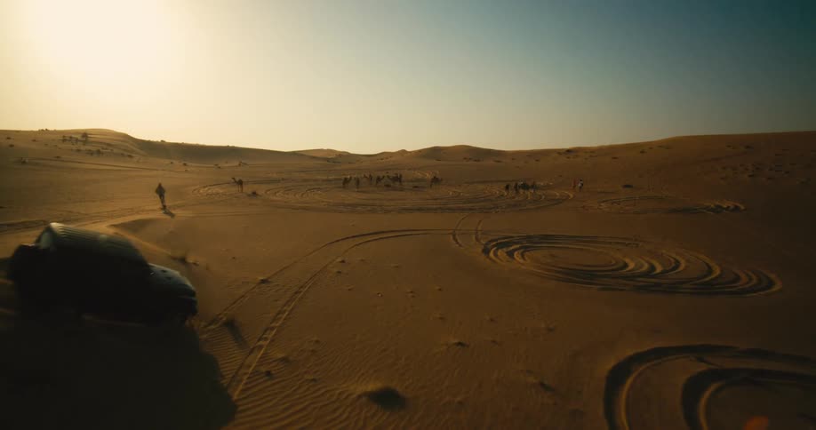 Areal view of black jeep driving across desert towards a group of camels