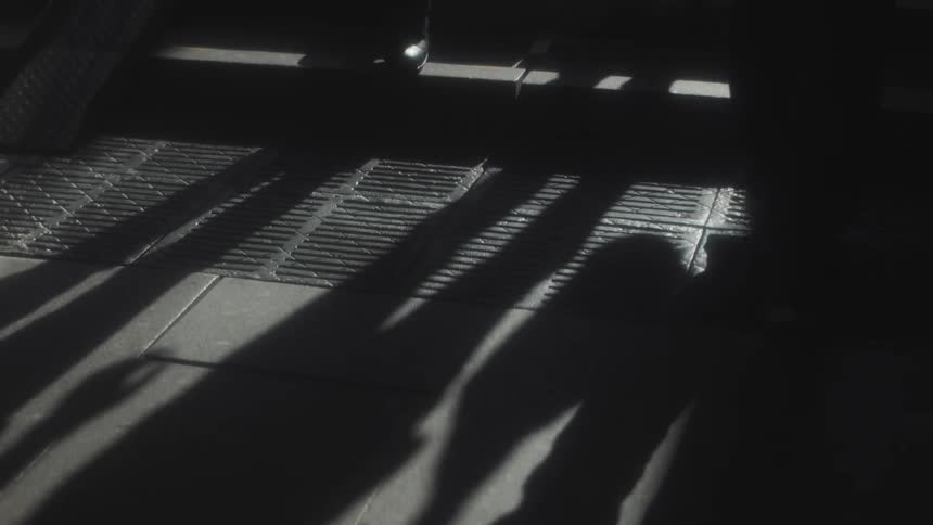 Pedestrians are ascending and descending a staircase in the daytime