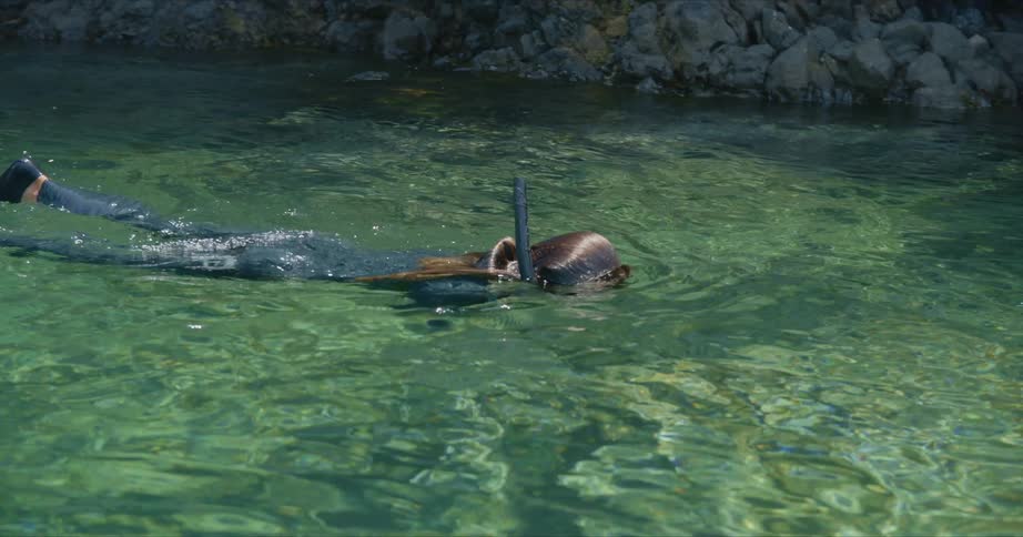 A woman snorkeling out in the ocean