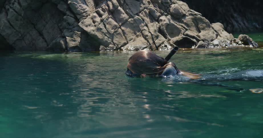 A person is swimming in the ocean
