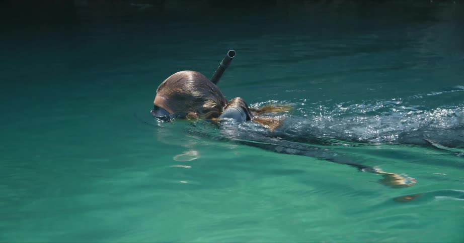 A person is snorkeling in the water