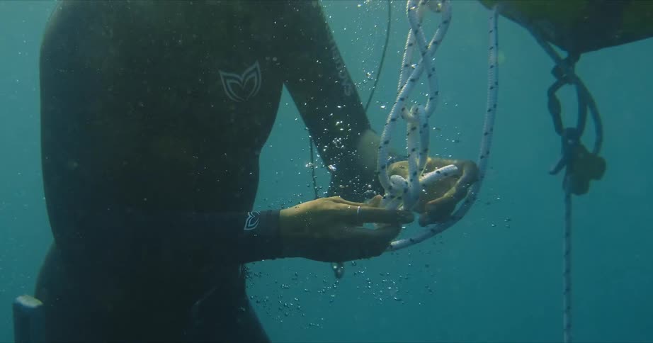 A diver messing with rope underwater