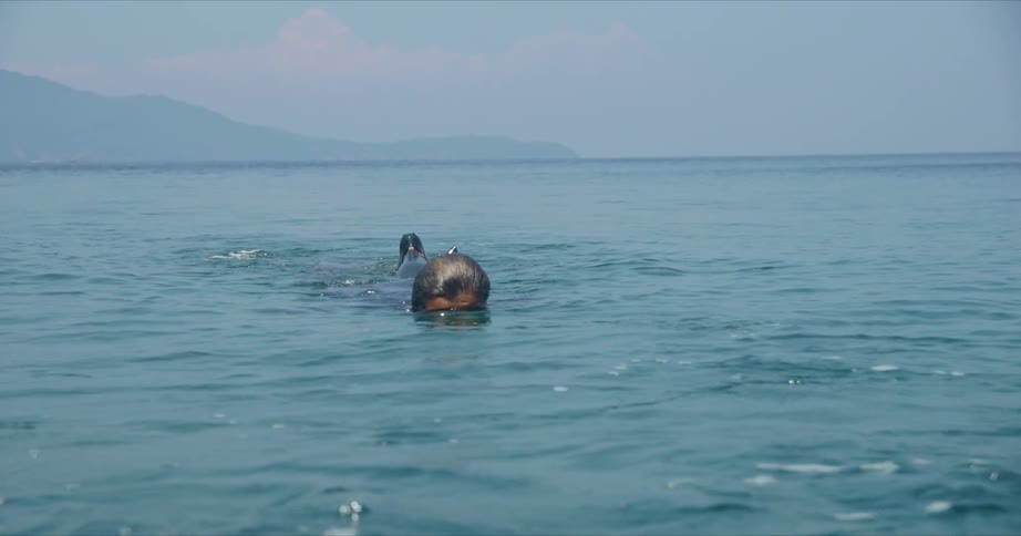 Female diver with wetsuit and flippers swim in still water