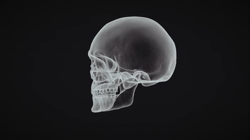A three dimensional image of a skull is spinning against a black background