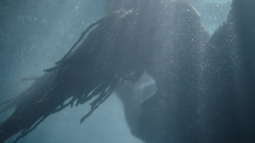 Man with braided hair and beard remains motionless underwater