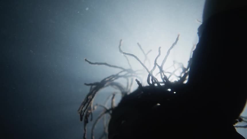 A person is struggling underwater