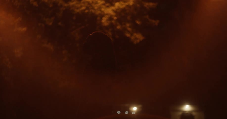 Man with braids and beard looks up at streetlights at night