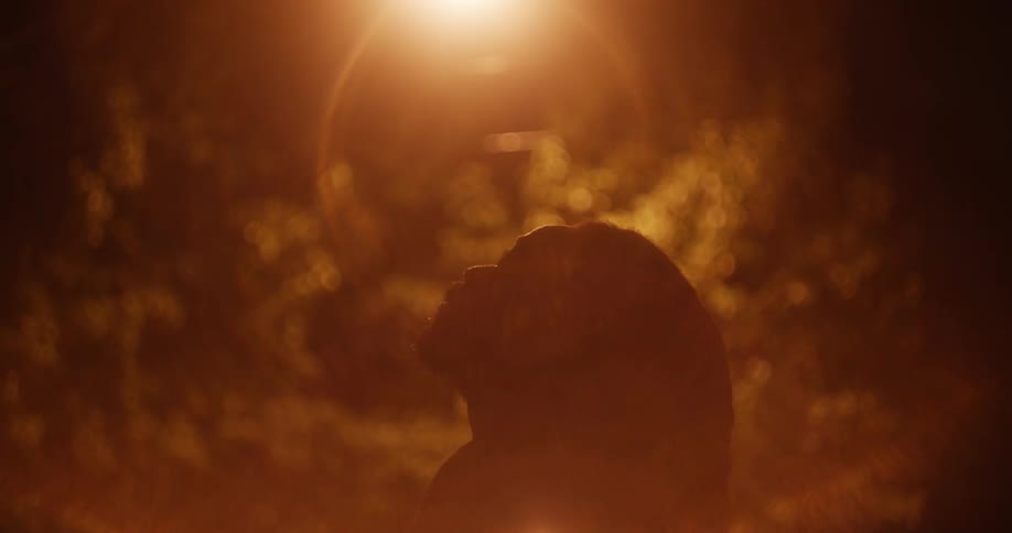 A woman looks up at night