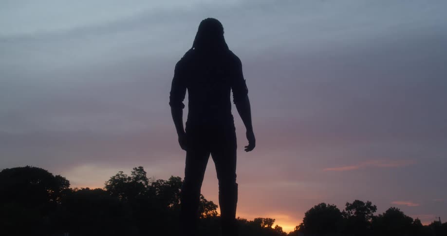 Silhouette of a man looking at the setting sun near trees