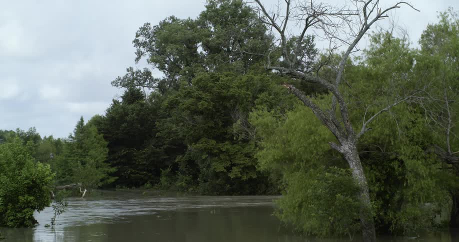 A flowing river surrounded by trees under a cloudy sky