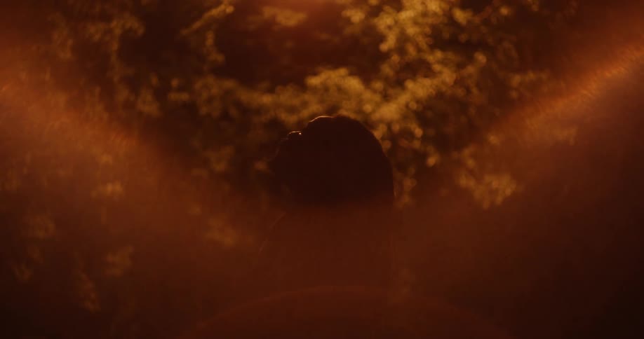 A silhouette of a man with trees in the background