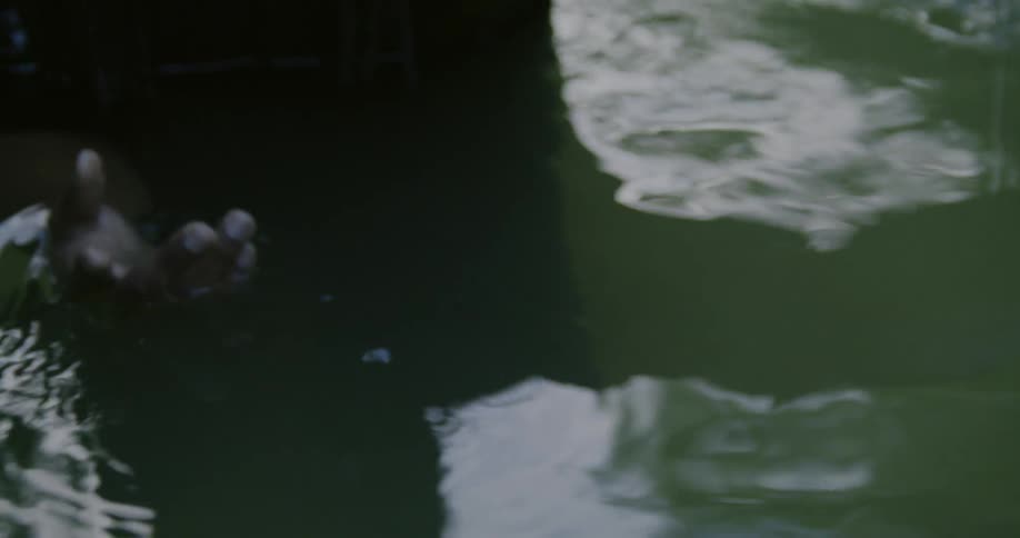 A man swimming outdoors in a river