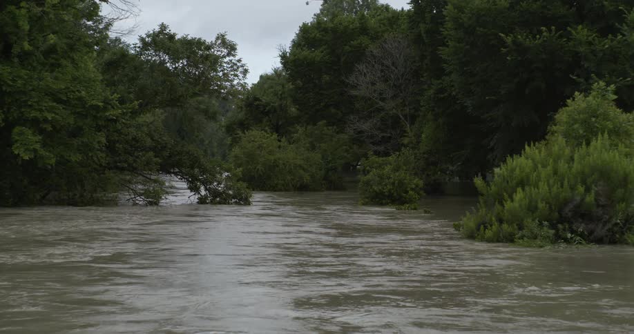 Water flowing in a river with trees on the bank