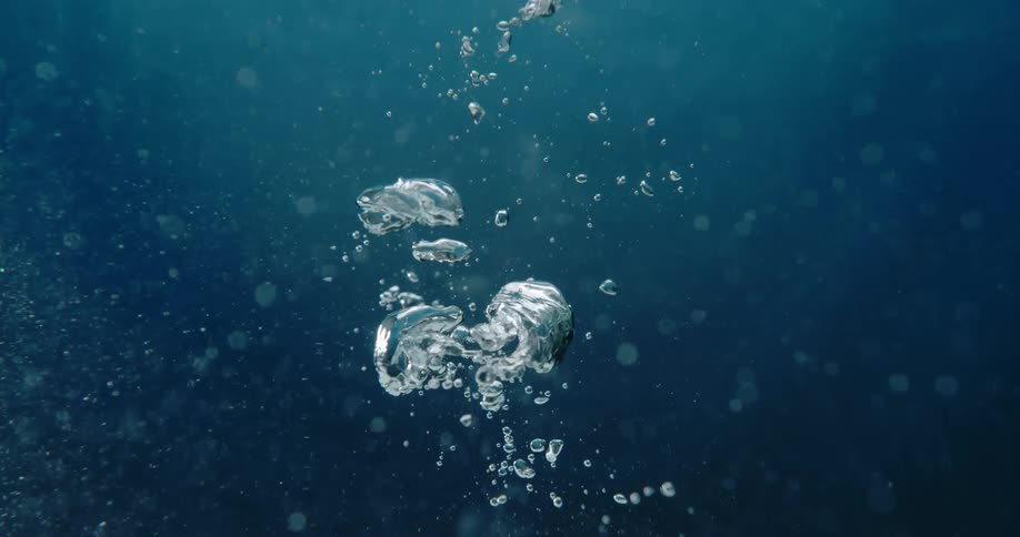 Bubbles underwater are slowly rising to the top
