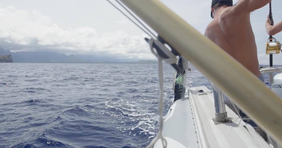 A man uses a hook to bring in a large fish