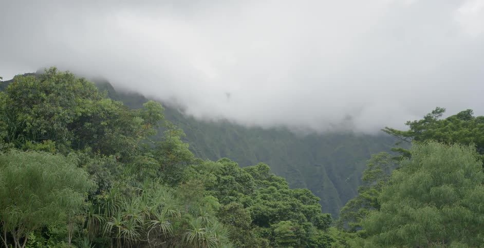 Oahu
