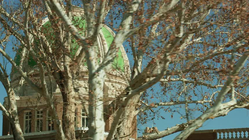 View of green dome seen from a city street