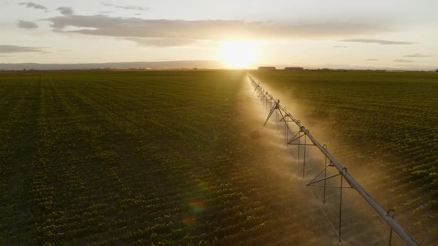 Low traverse over a pivot irrigator watering young corn plants growing on a large farm field