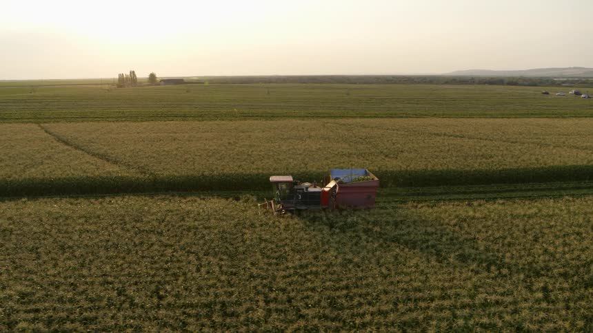 Subtle orbit around a corn harvester working along beautiful open farmland
