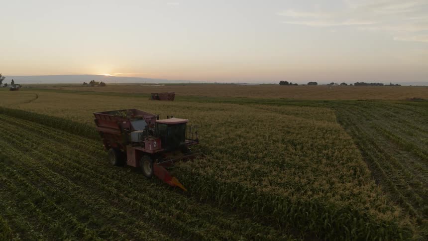 A harvester finishes working through a row of corn as the sun sets just below the horizon