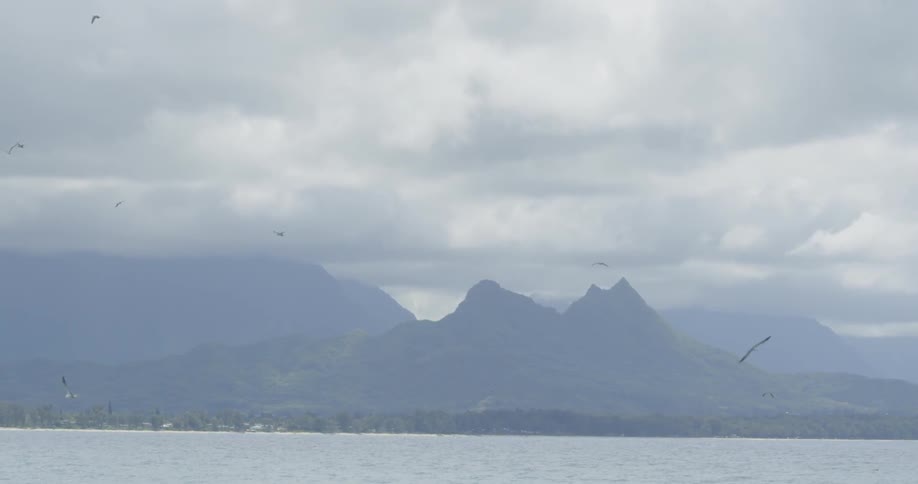 Birds fly in a cloudy sky over the water