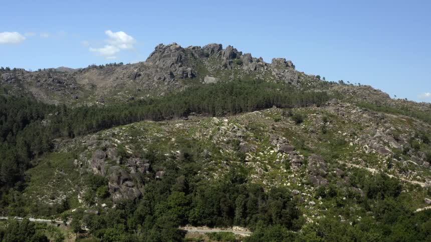 Rocky mountains high in the sky and a forest along the mountain side