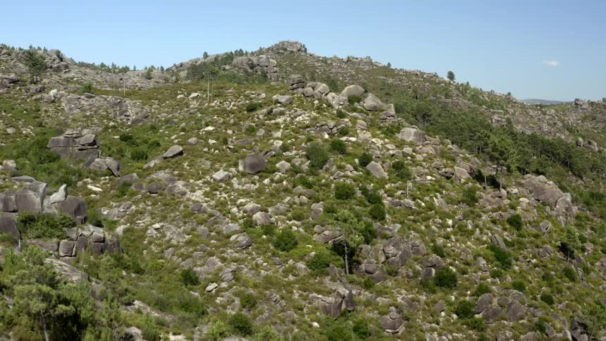 A rocky mountain with bushes and trees under a clear sky