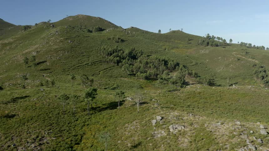 Hills with grass and trees with the sky and clouds in the background