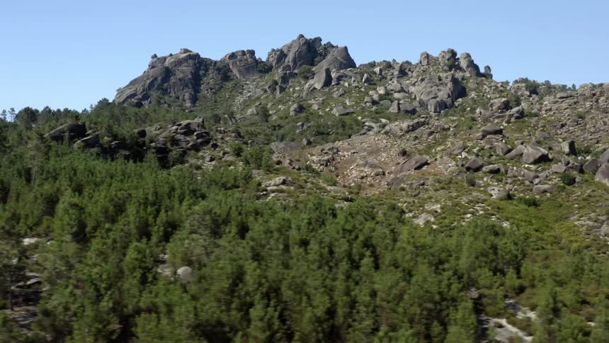 A forest sits at the base of a rugged canyon