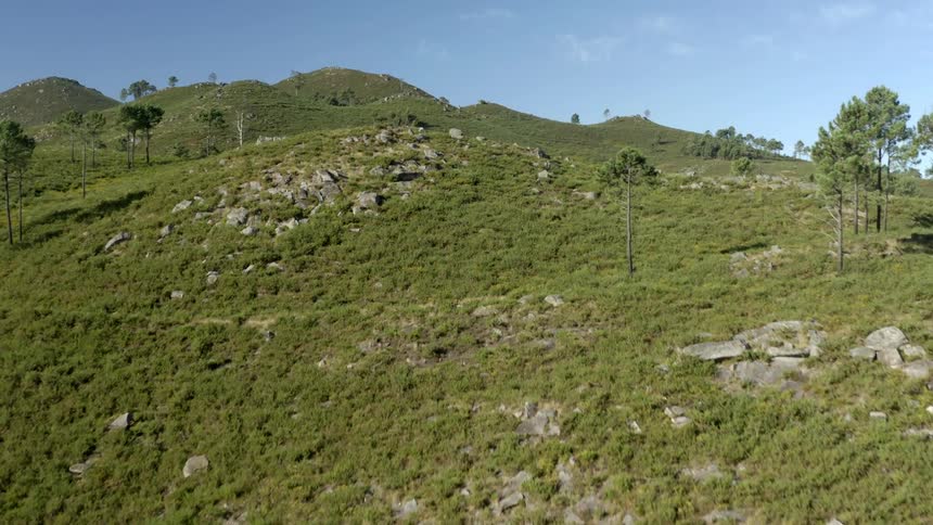 Rock covered hills with trees and plants under a blue sky