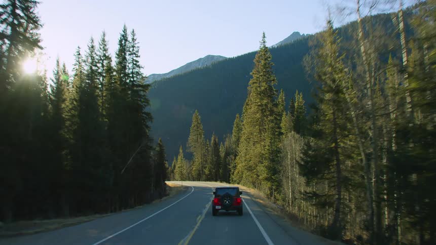 A dark colored jeep travels on a mountain forest road with the sun shining brightly upon it