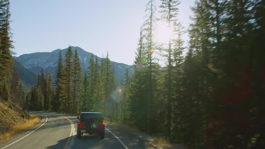 A vehicle travels along a road through an evergreen forest below a mountain during the day