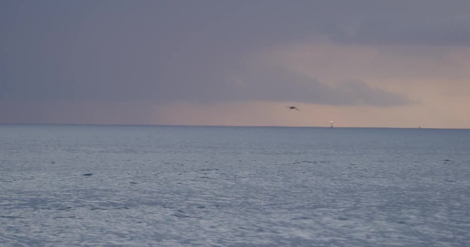 A bird flies past the water on a cloudy day