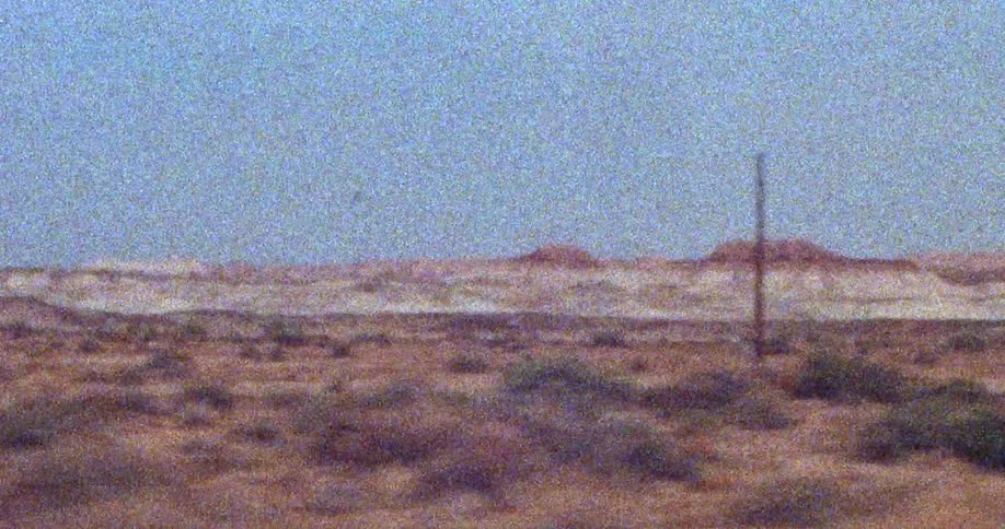 Small bushes dot the landscape in a roadside desert