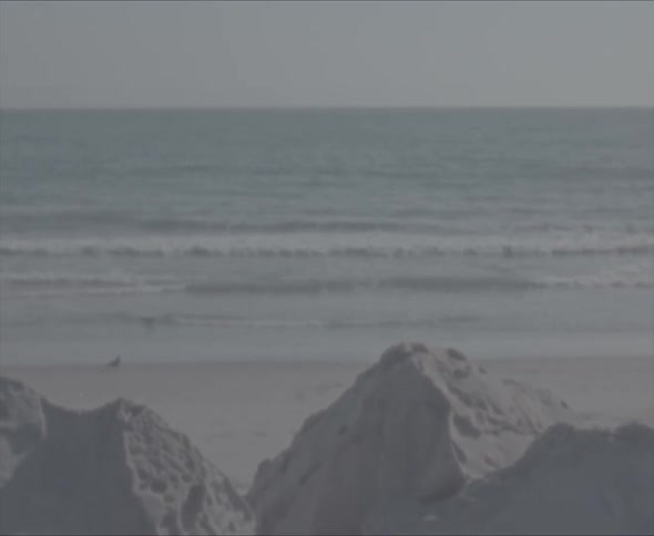 People are on a beach as the waves roll in