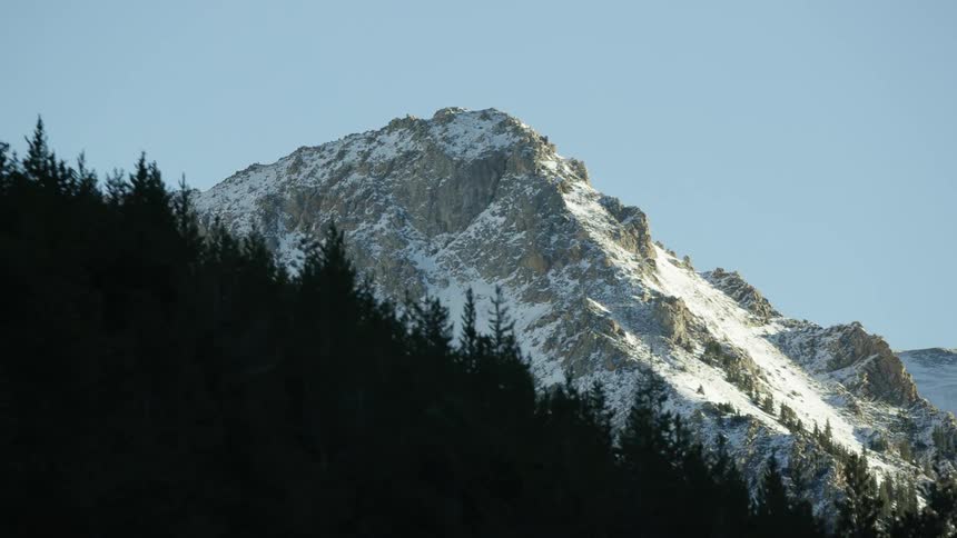 A forest of trees with snow covered mountains in the distance under a clear sky