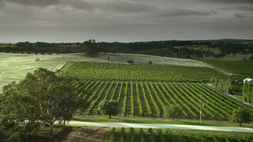 Rows of green crops and a farmhouse under a cloudy sky