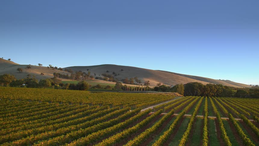 Aerial view of farmlands and hills against the blue sky