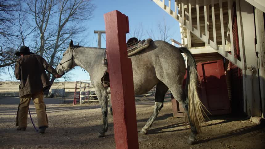 A mle walking a horse out of a barn on a farm