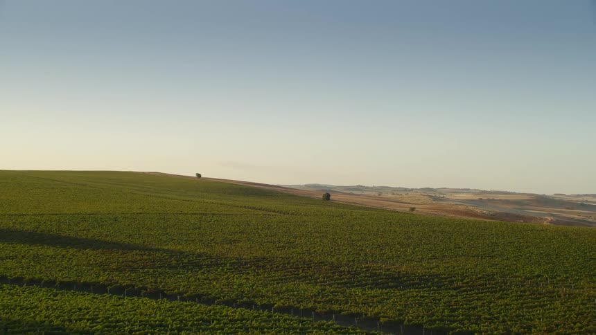 An aerial view of farmland crops with deforestation in the distance in the daytime