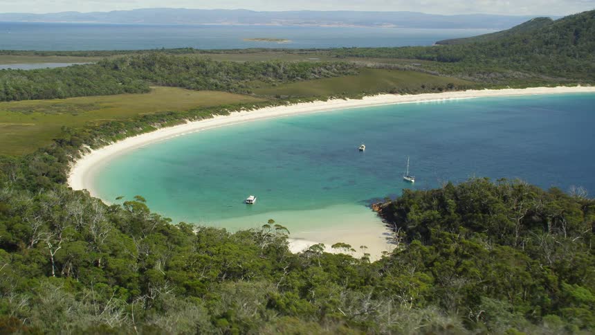 Three boats are docked by the beach