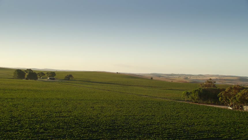 An aerial view of flat plains on a summer morning
